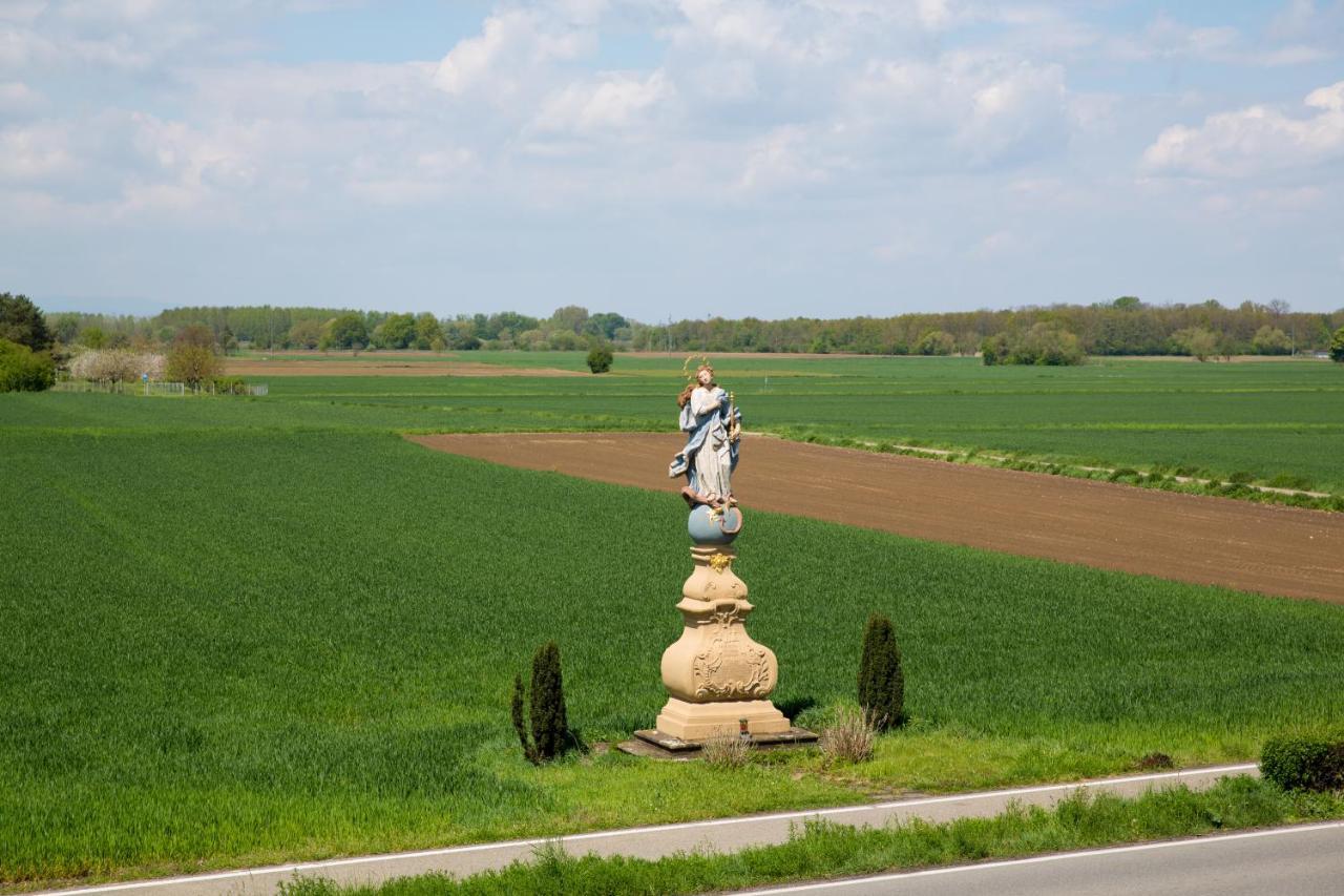 Schoener Wohnen Friesenheim  Exterior foto