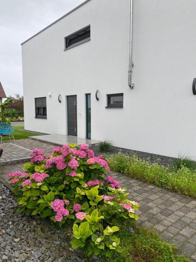Schoener Wohnen Friesenheim  Exterior foto
